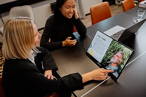 PMT-15 - 3840x2160 17.3 Inches