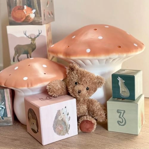 Pyramid Toy Set - 36 Months 9 pieces