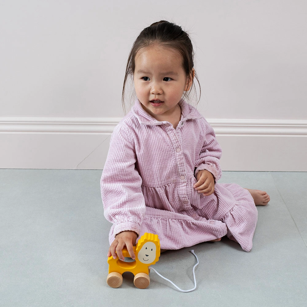 Playtime Pull Along - Ludo Lion