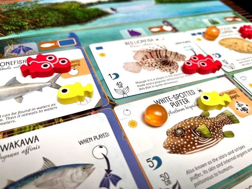 Finspan Upgrade Pack - Squishy Eggs and Wooden Fish Tokens