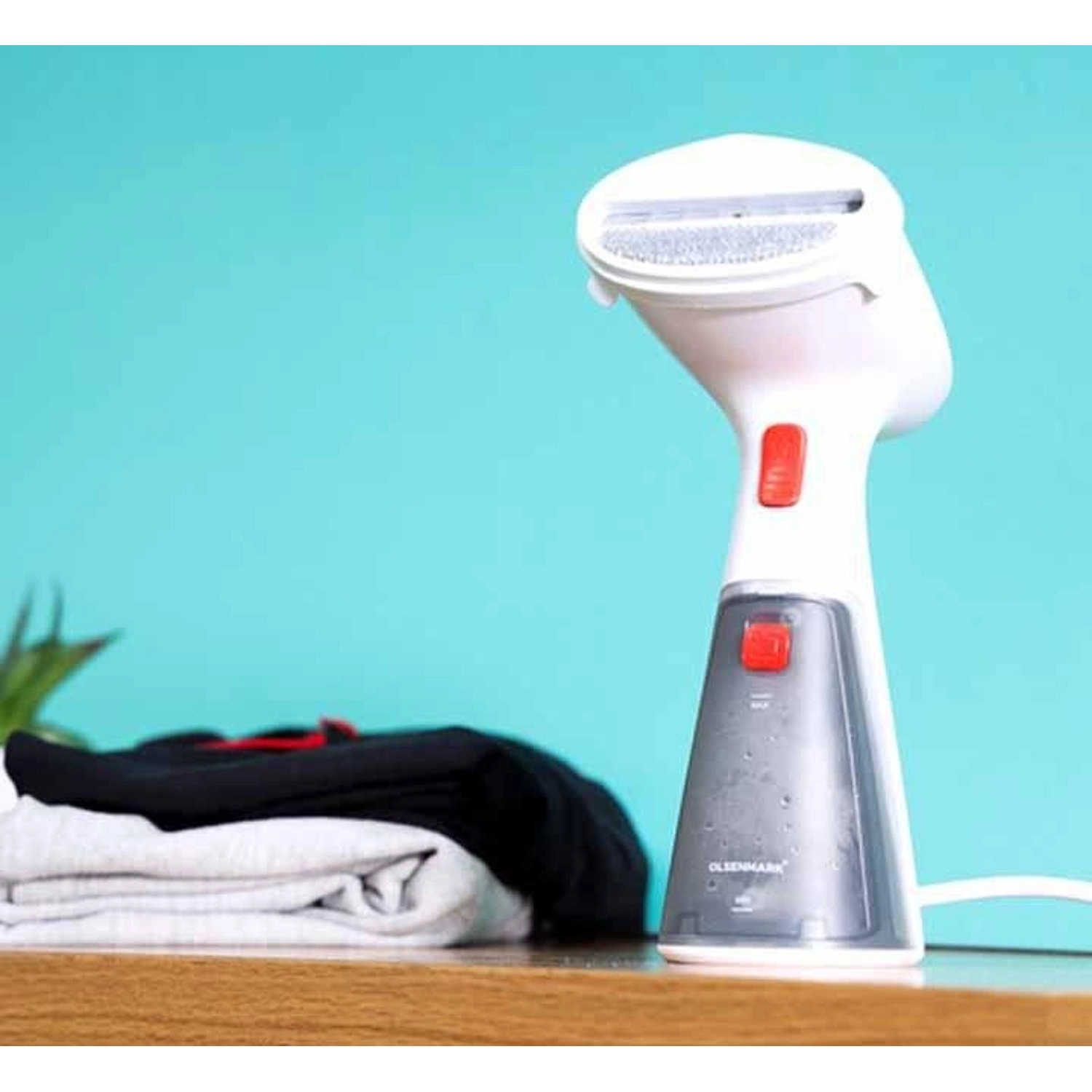 Handheld Garment Steamer - 1000W 120ml