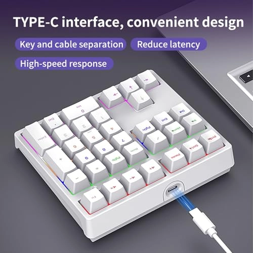 Mechanical Number Pad - Blue switch