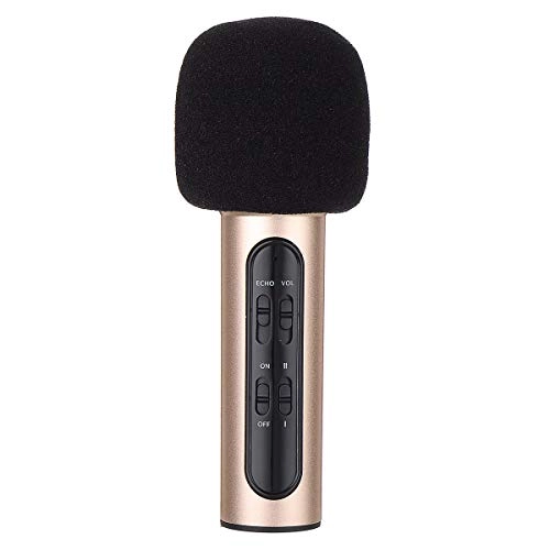 Karaoke USB Microphone
