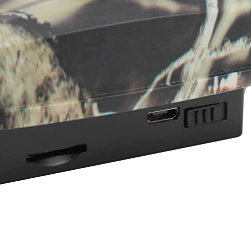 PR600C - 1920x1080P 25FPS