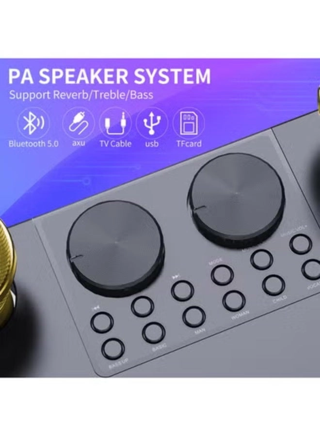 M25 - Wireless Bluetooth Karaoke System