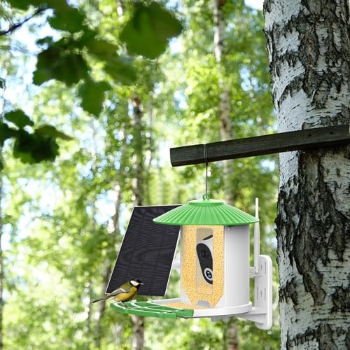 Smart Bd Feeder Camera 1080P