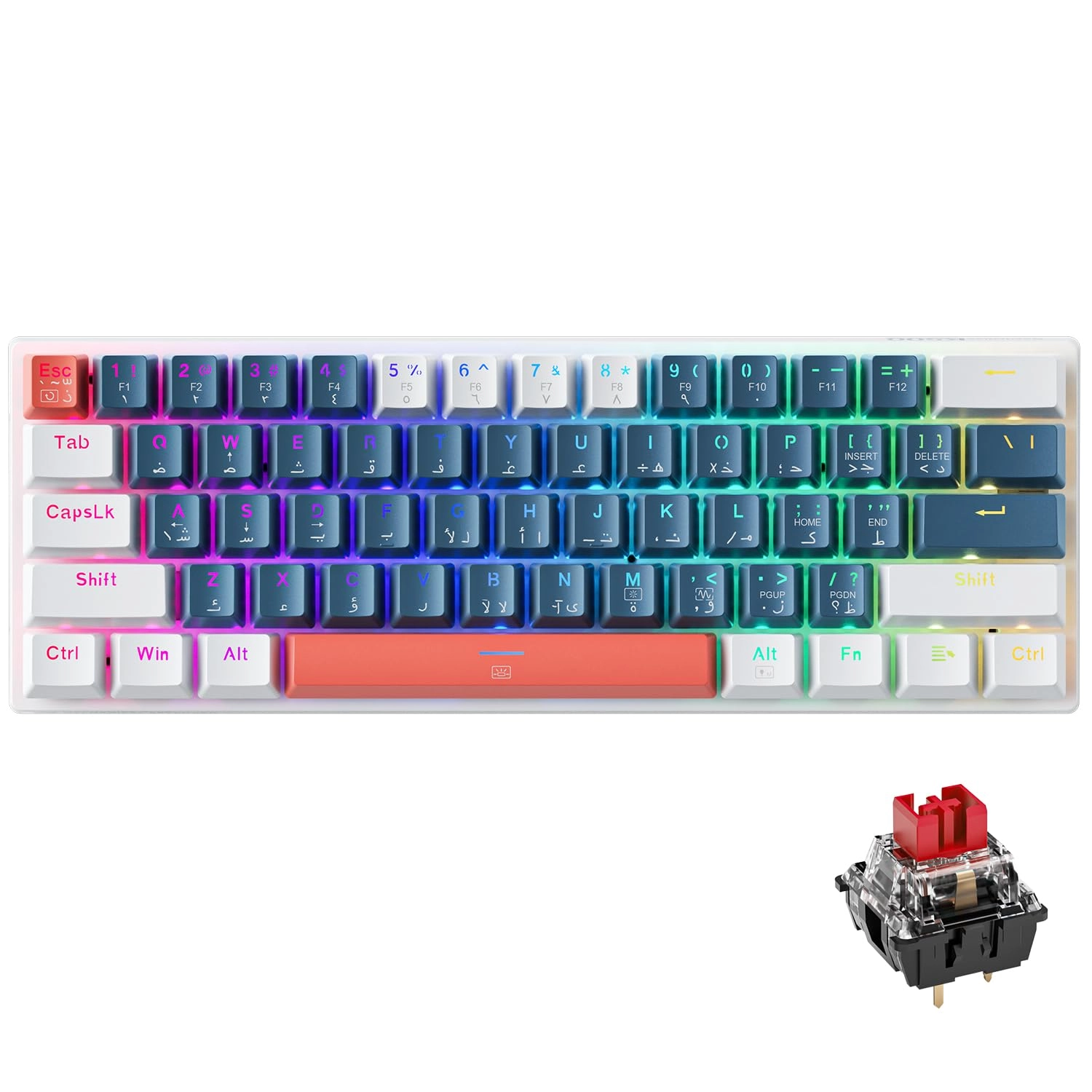 K500-B61 - AR/EN Wired