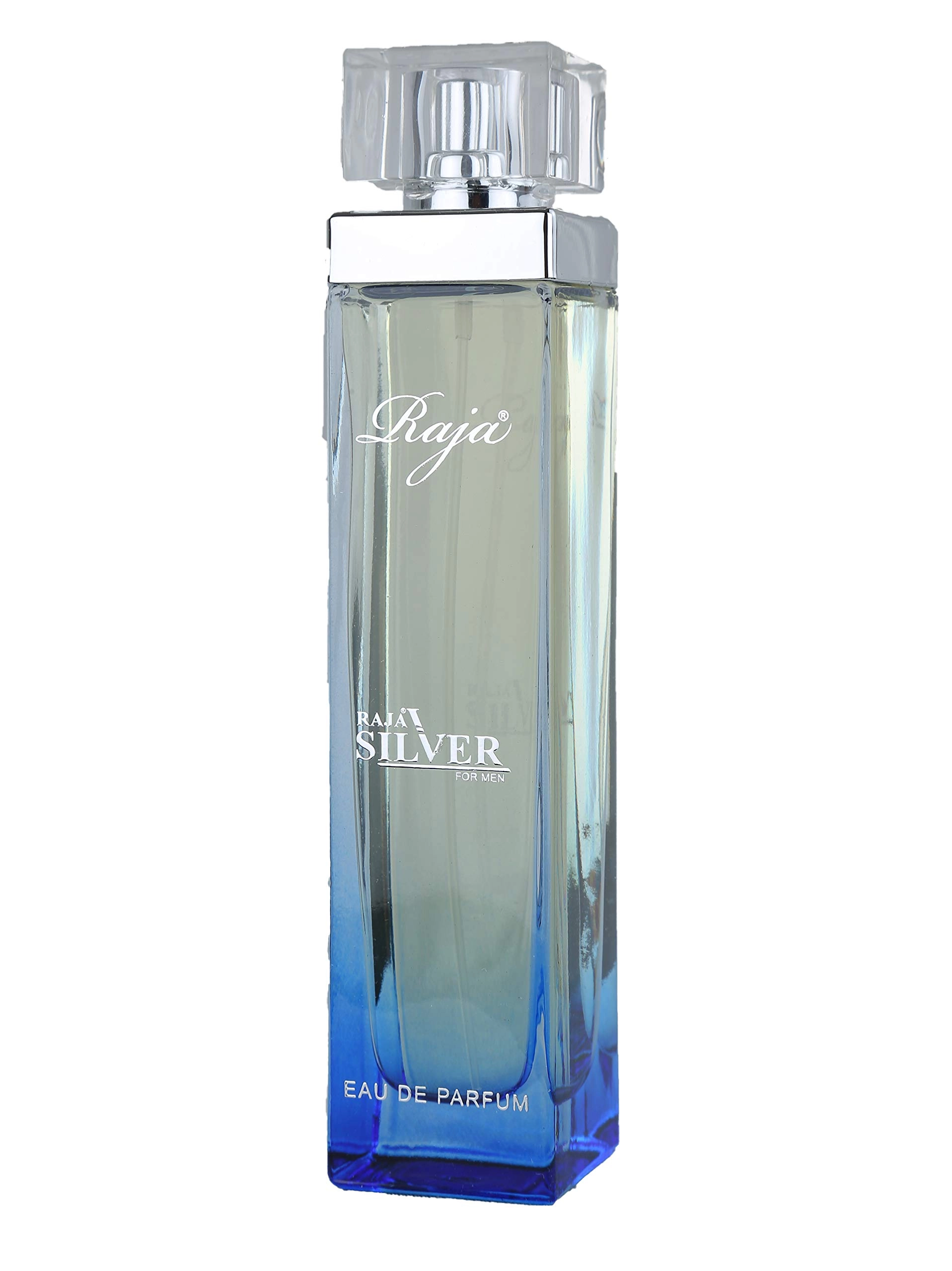 M.P.F L.L.C Silver Eau de Parfum 100ml