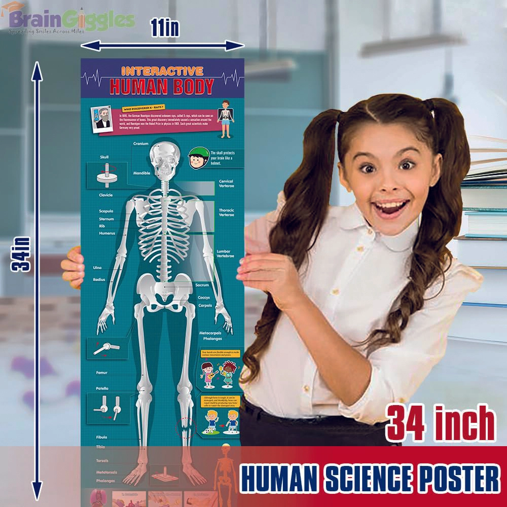 Brain Giggles Interactive Human Body - 6 years+