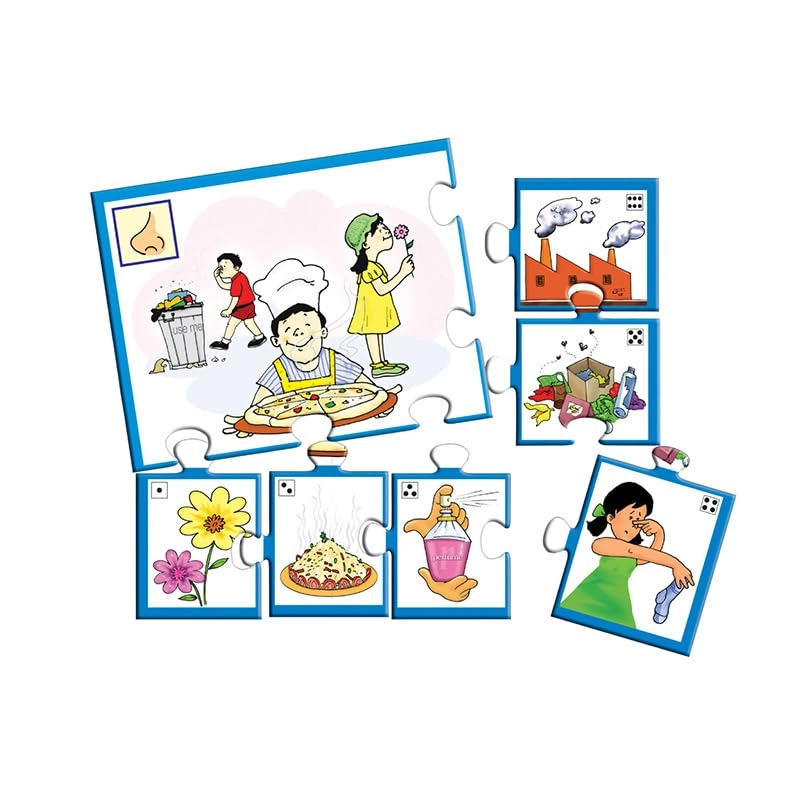 Our Five Senses - 60.00 months 1 Count pieces