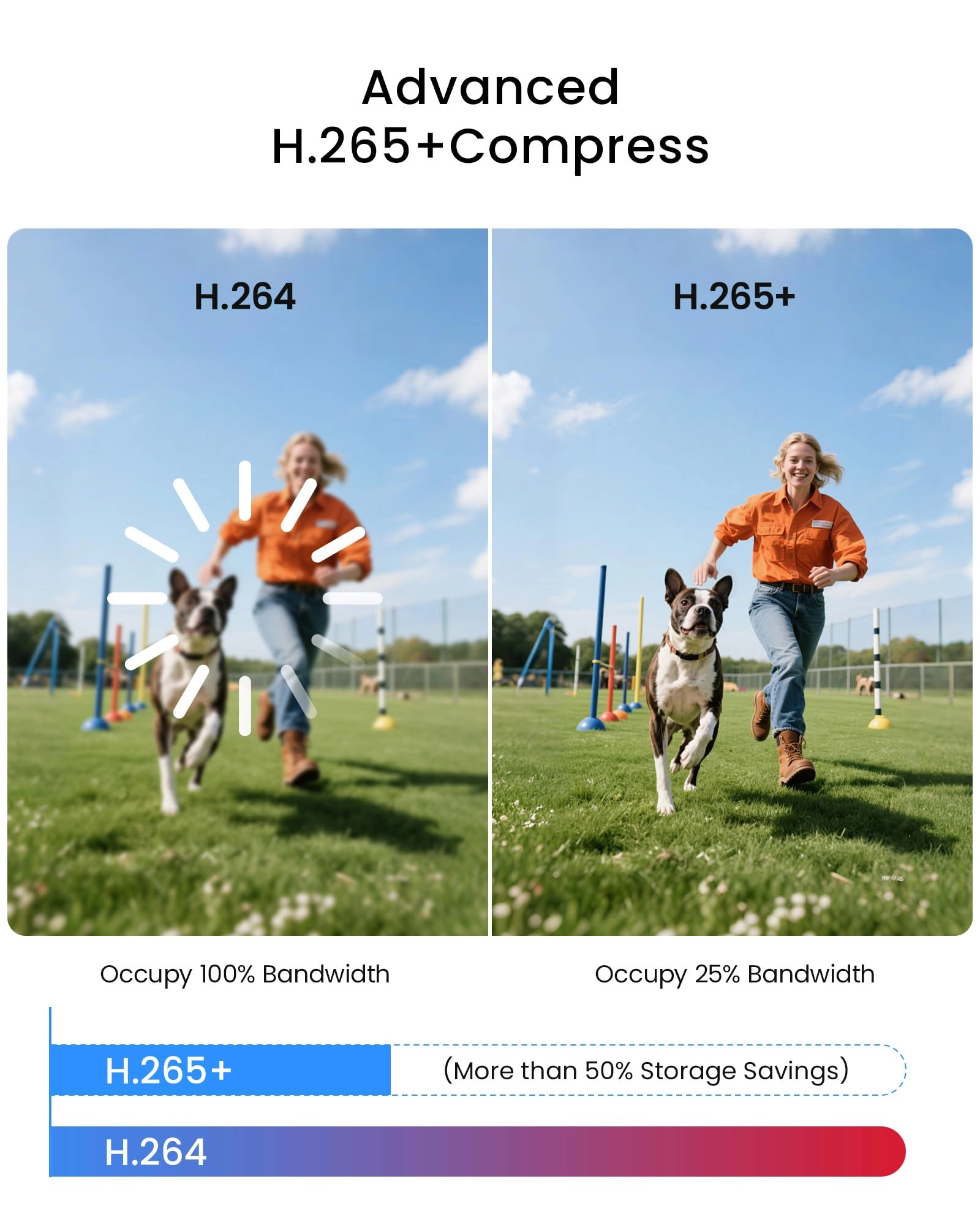 H.265+ Security Camera System - 8 16CH 1080p