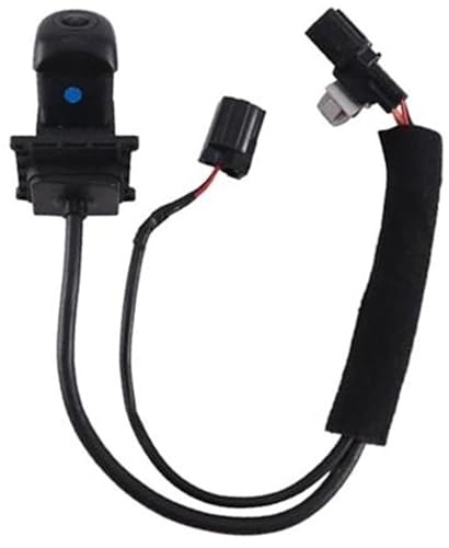 95766-K8000 - Reverse Camera Parking Assist