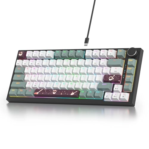 75% Mechanical Keyboard - EN Wired/Wireless