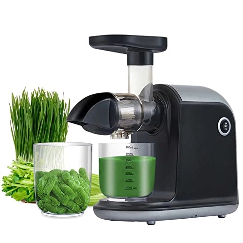 Masticating Juicer - 150 Watts 1500 Milliliters