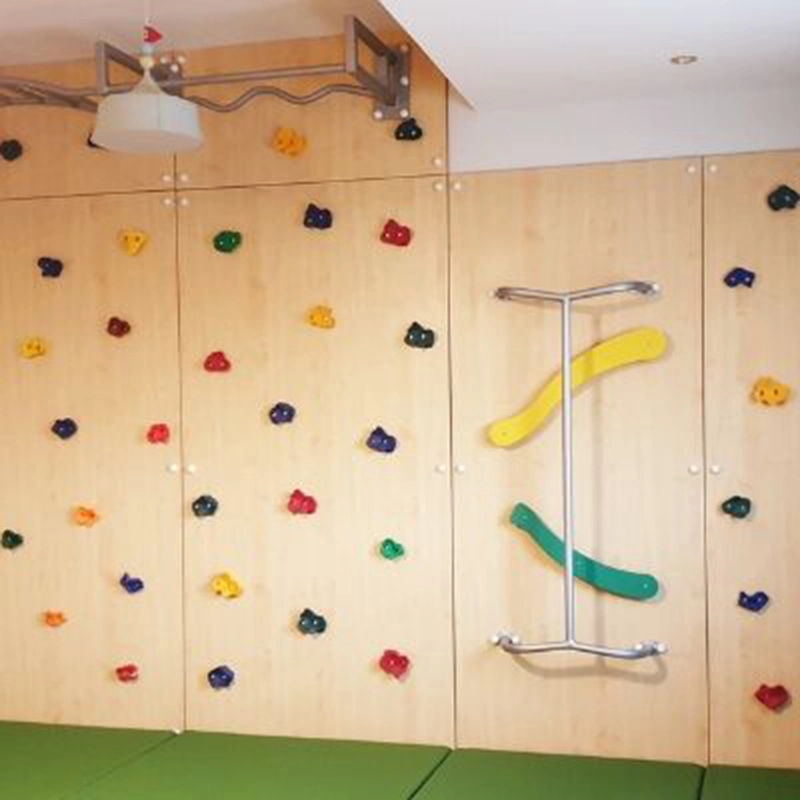 Climbing Wall - Monkey Bars Fireman Pole 560 x 50 x 300 cm