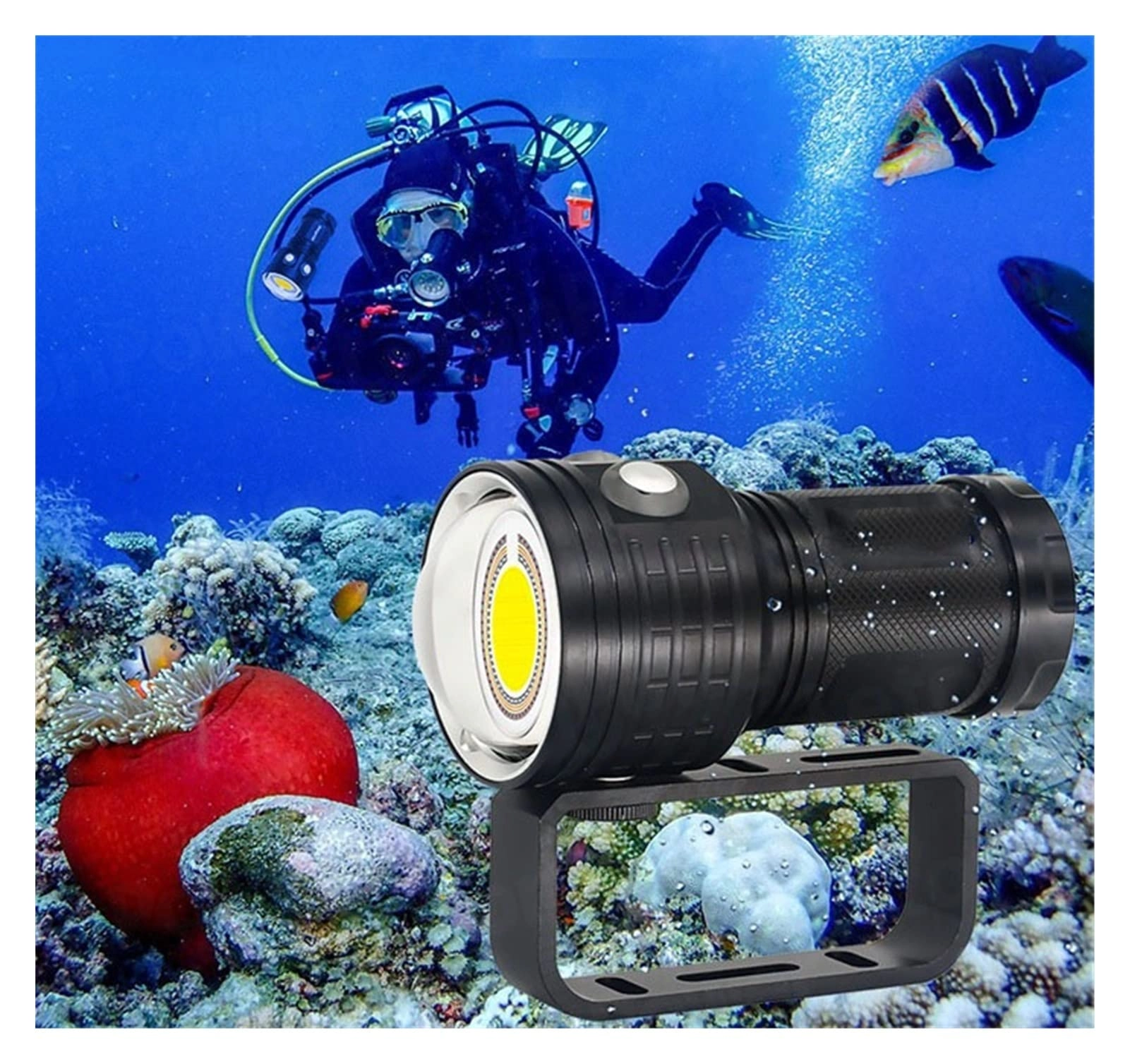 Dive Light