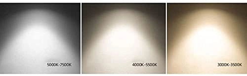 Ceiling Light - Dimmable