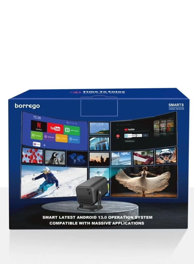 Smart8 300 ANSI Brightness