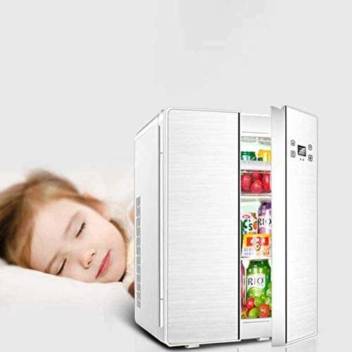 Car Double Door Mini Refrigerator - Dual Voltage Portable