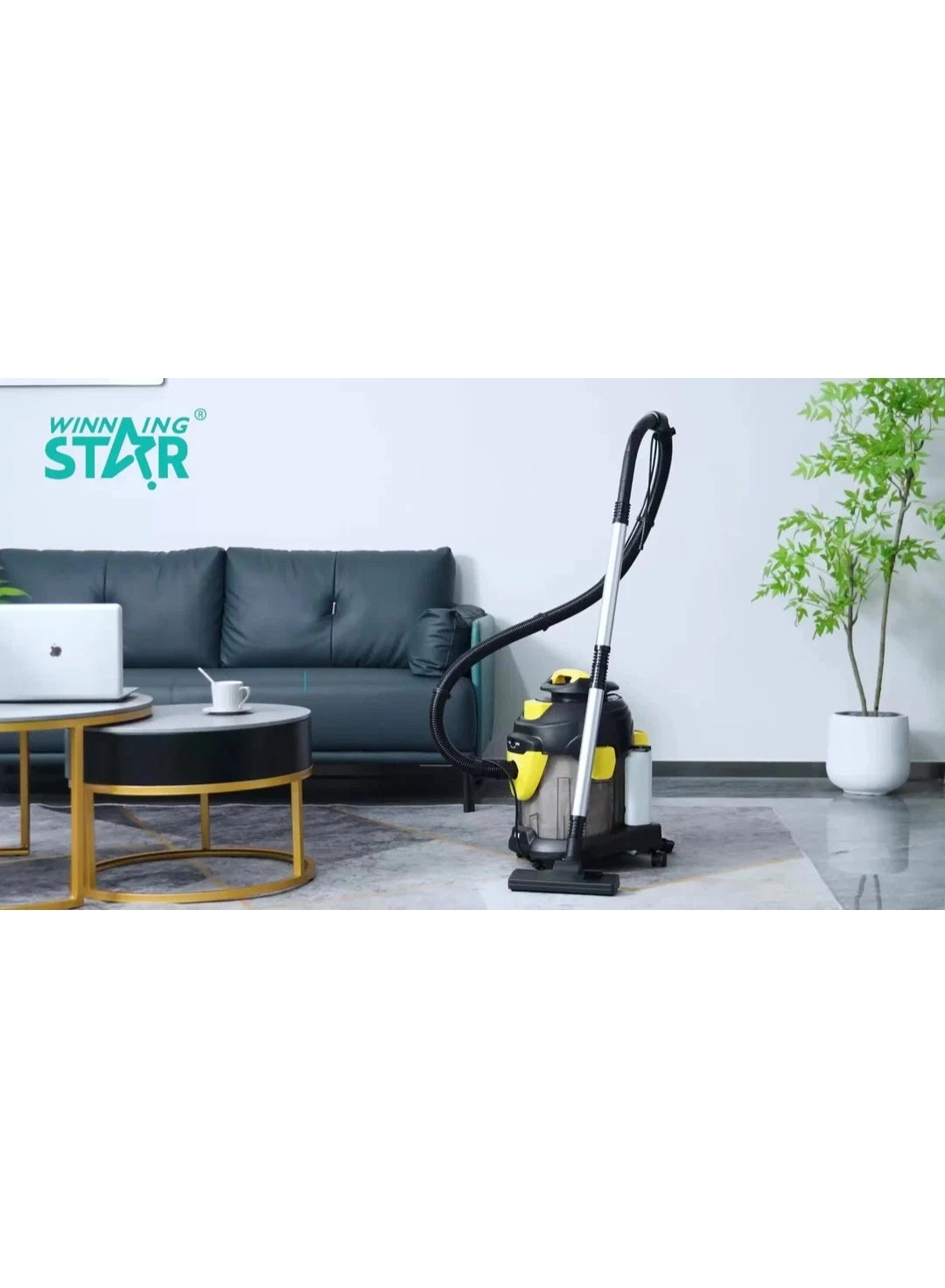 Winning Star (ST-5036)