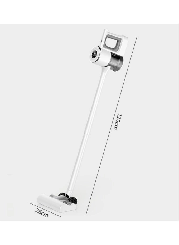 Air Pet - Wet & Dry 30 M