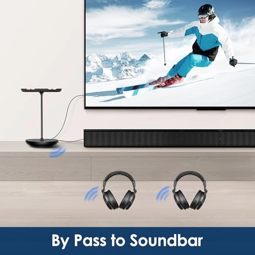 SM-829D1 Wireless Headphone