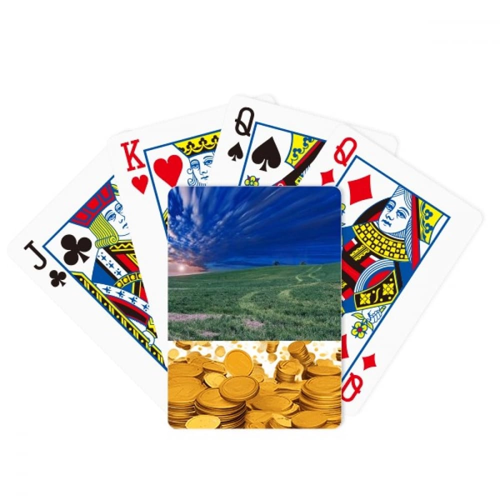 no/no Playing Card Classic Game - Bridge Size 52 cards 2 Jokers