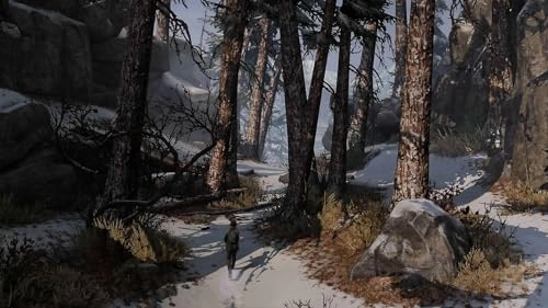 The Last of Us Remastered - PlayStation 4