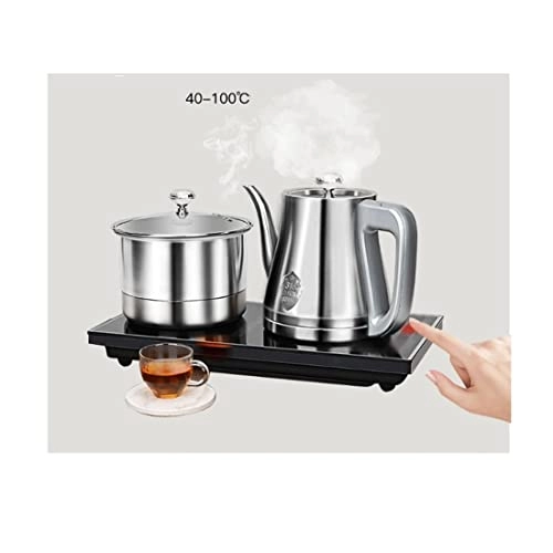 Temperature Control Electric Kettle