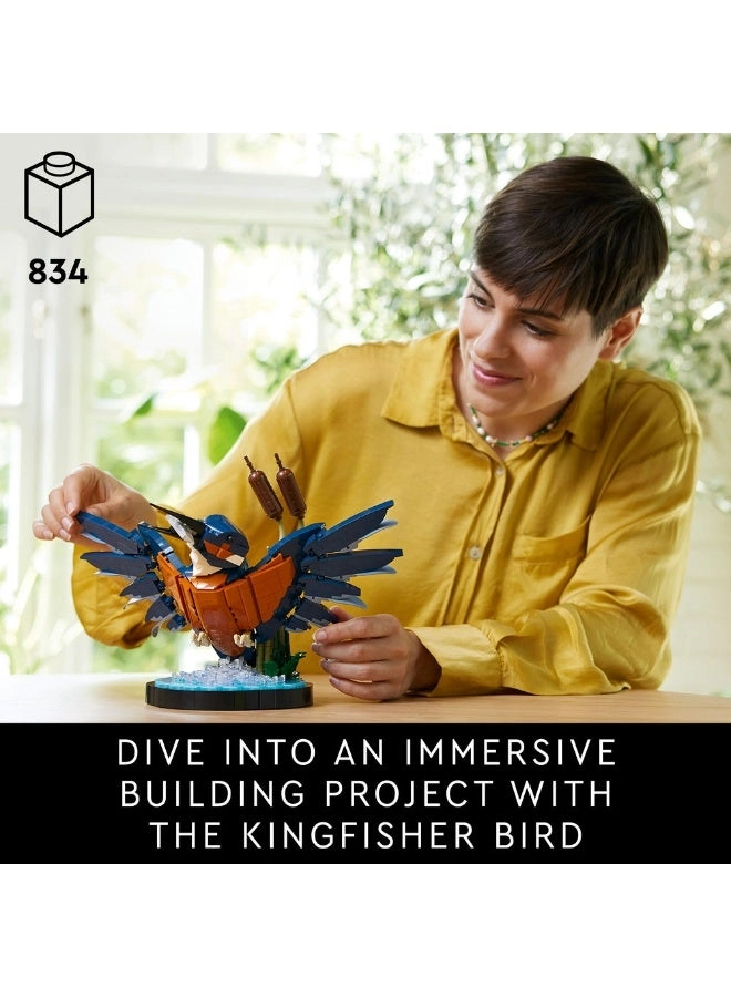 Icons Kingfisher Bird (10331)