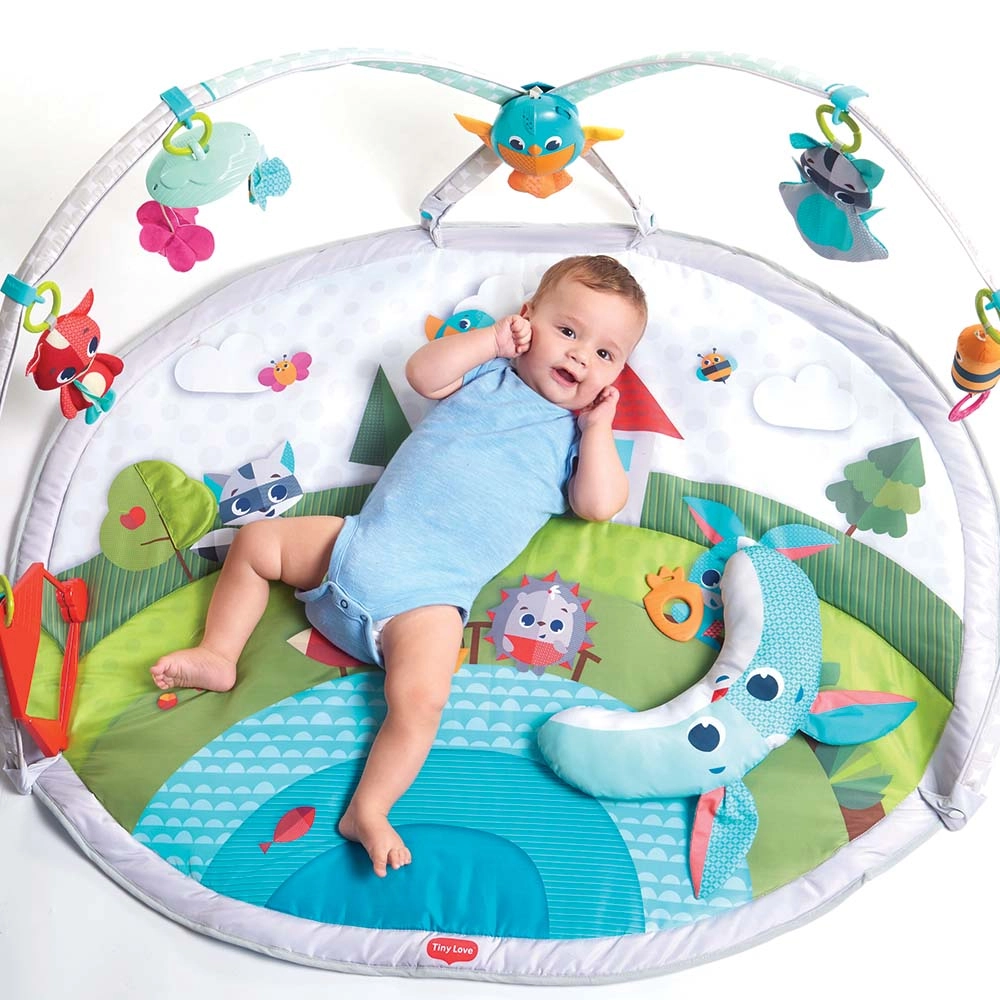 Dynamic Developmental Activity Playgm - 0 month