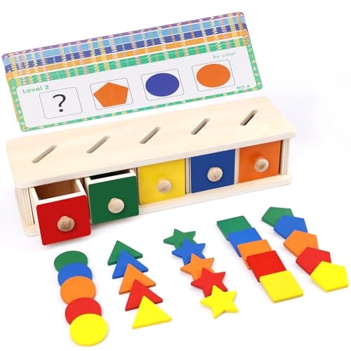Ghazal Wooden Color Shape Sorting Box - 36 months - 3 years 25 pieces