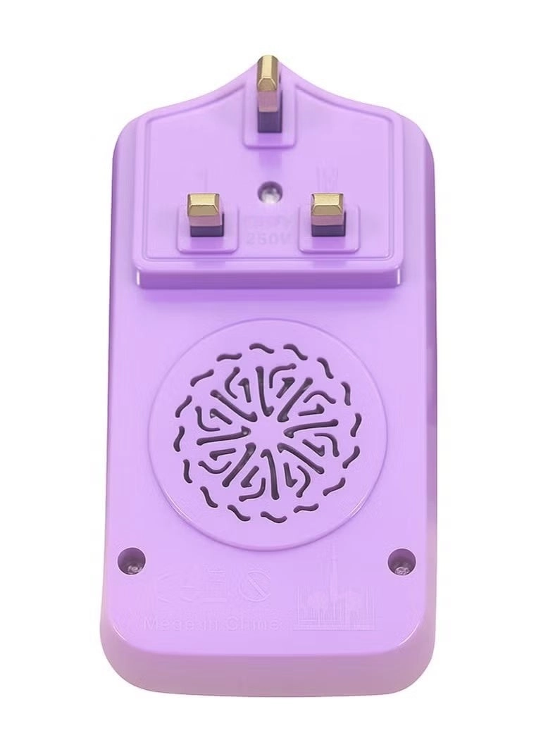 Electric Quran Plug