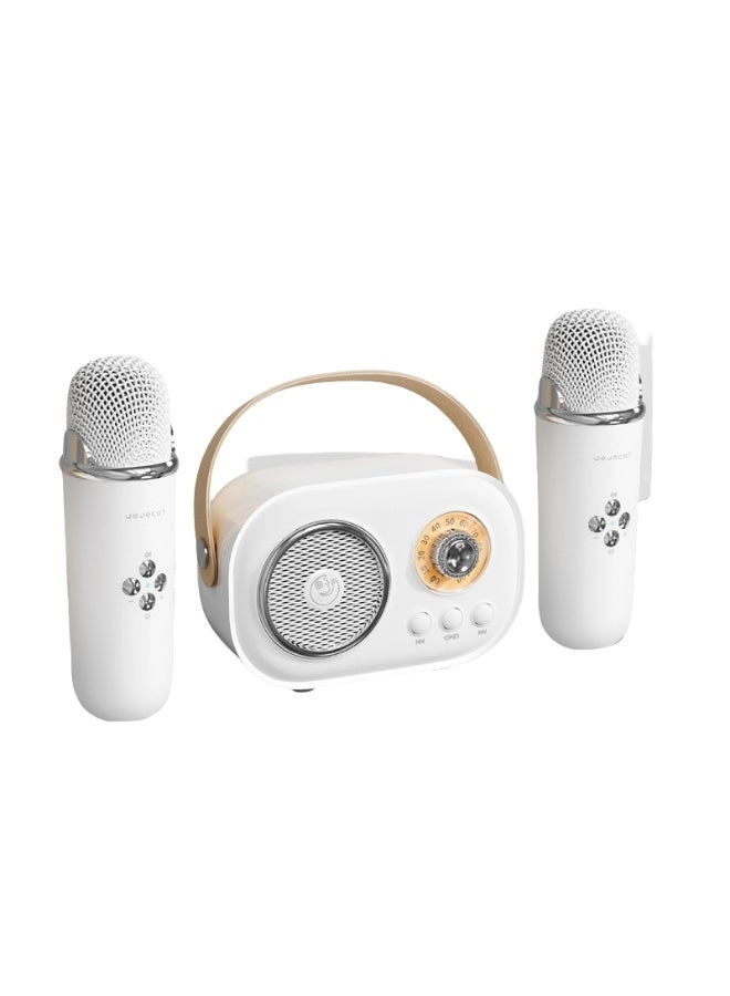 LED Bluetooth Karaoke Speaker - Dual Microphones