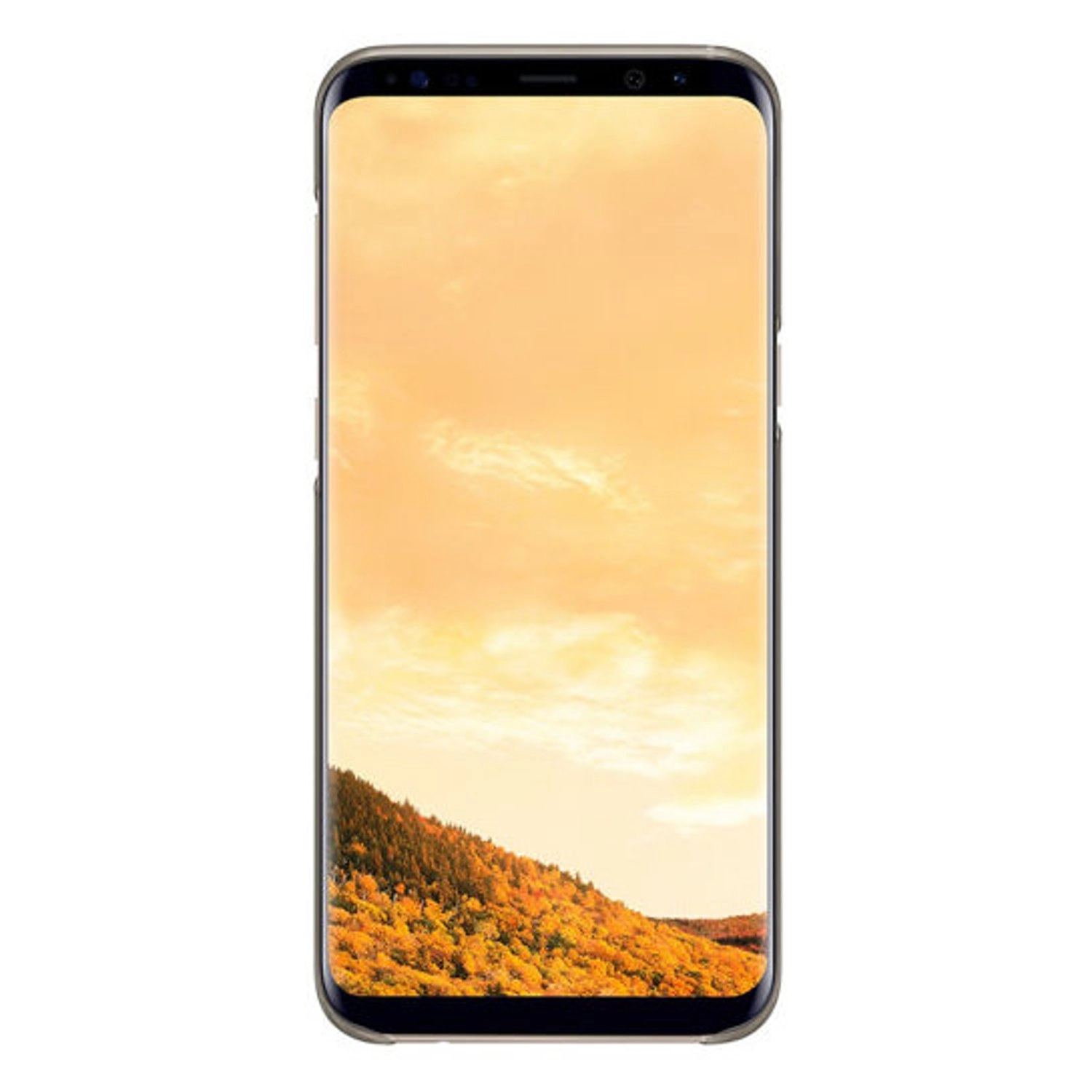 Clear Cover Back Case for Galaxy S8 Plus