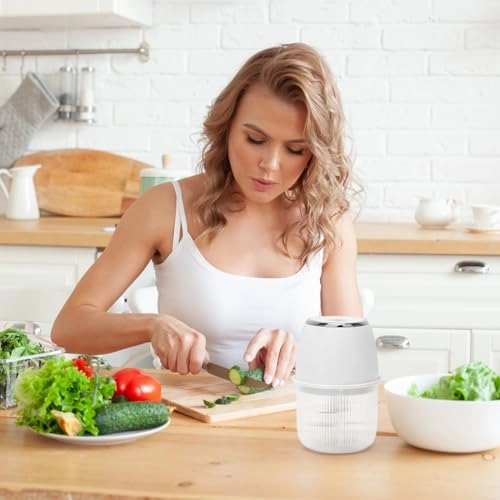 Portable Mini Chopper - USB-C charging