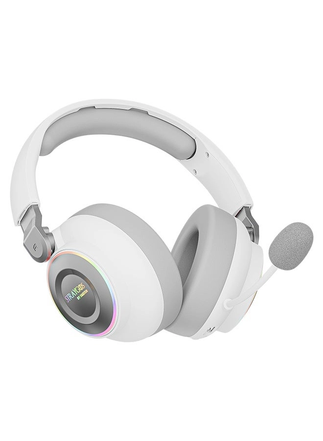 STRAYGOS Wireless Headset