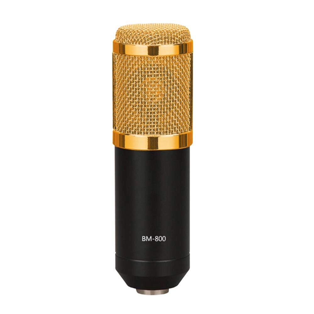QULONG B0B1HYYNXS Wired Microphone