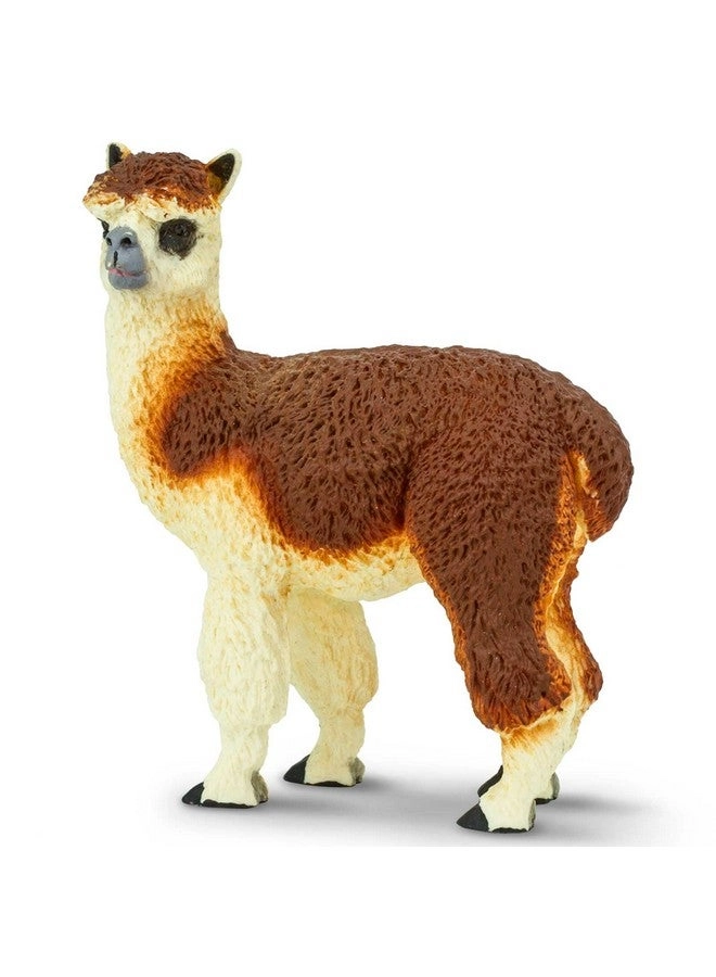 Alpaca