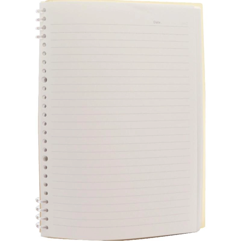 Notebook 19 X 26 cm Spiral - Grid 100 Sheets