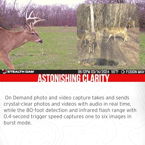 Fusion Max - 36MP Cellular + Lithium Solar Power Panel - 12V + Economy Trail Camera Holder + 32GB Ultra SDHC UHS-I Memory Card + Hi-Speed SD USB 2.0 Card Reader