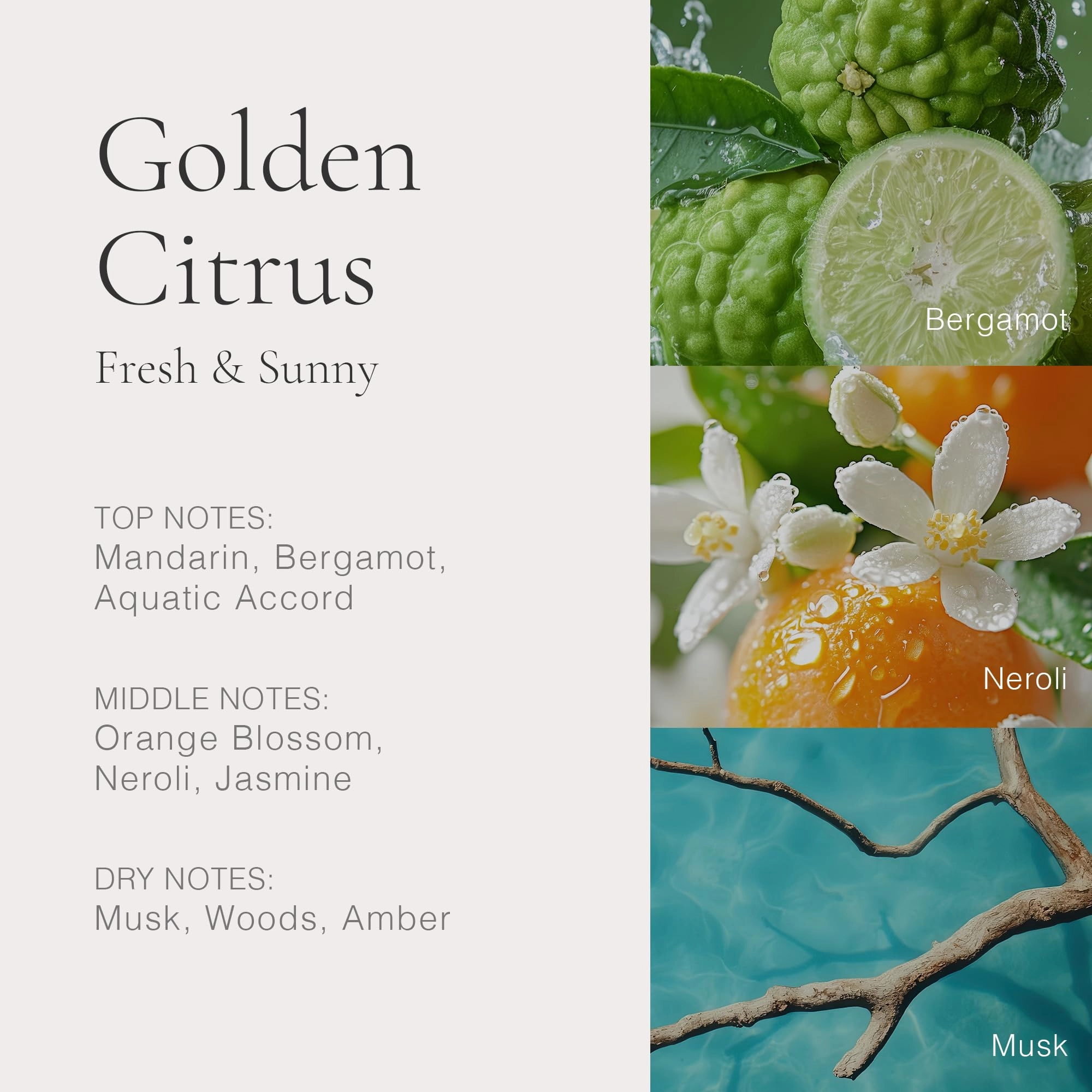 Golden Citrus Eau de Parfum 0.34 Fluid Ounces