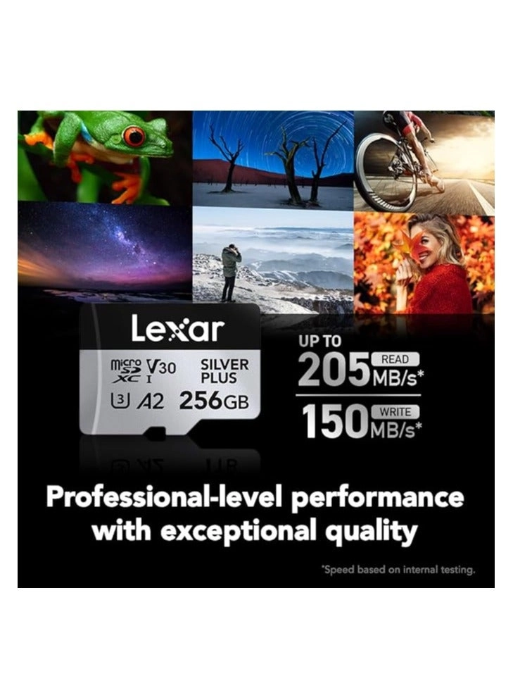 Professional SILVER PLUS microSDXC U3 1TB