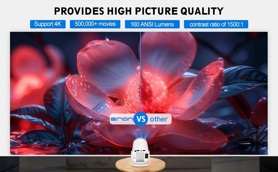 Mini Portable Projector