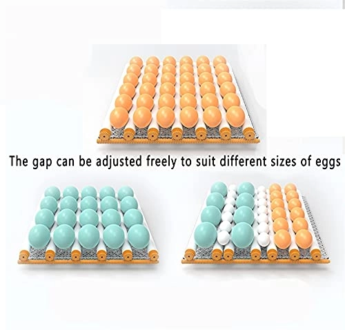 Egg Incubator - 48 Eggs Fully Automatic