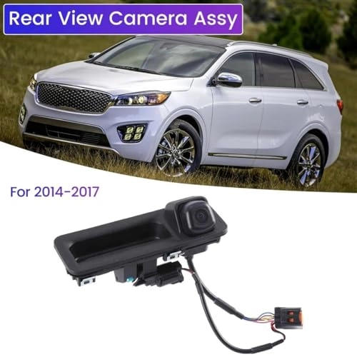 Rear View Camera Assembly - Night Vision