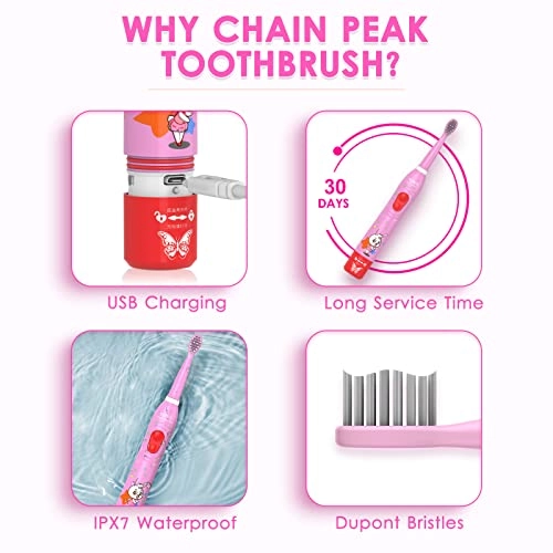 Dinosaur Electric Toothbrush - Kids Sonic Rechargeable 4 Brush Heads