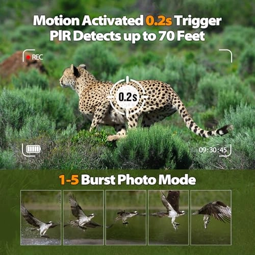 Solar Trail Camera - 32MP