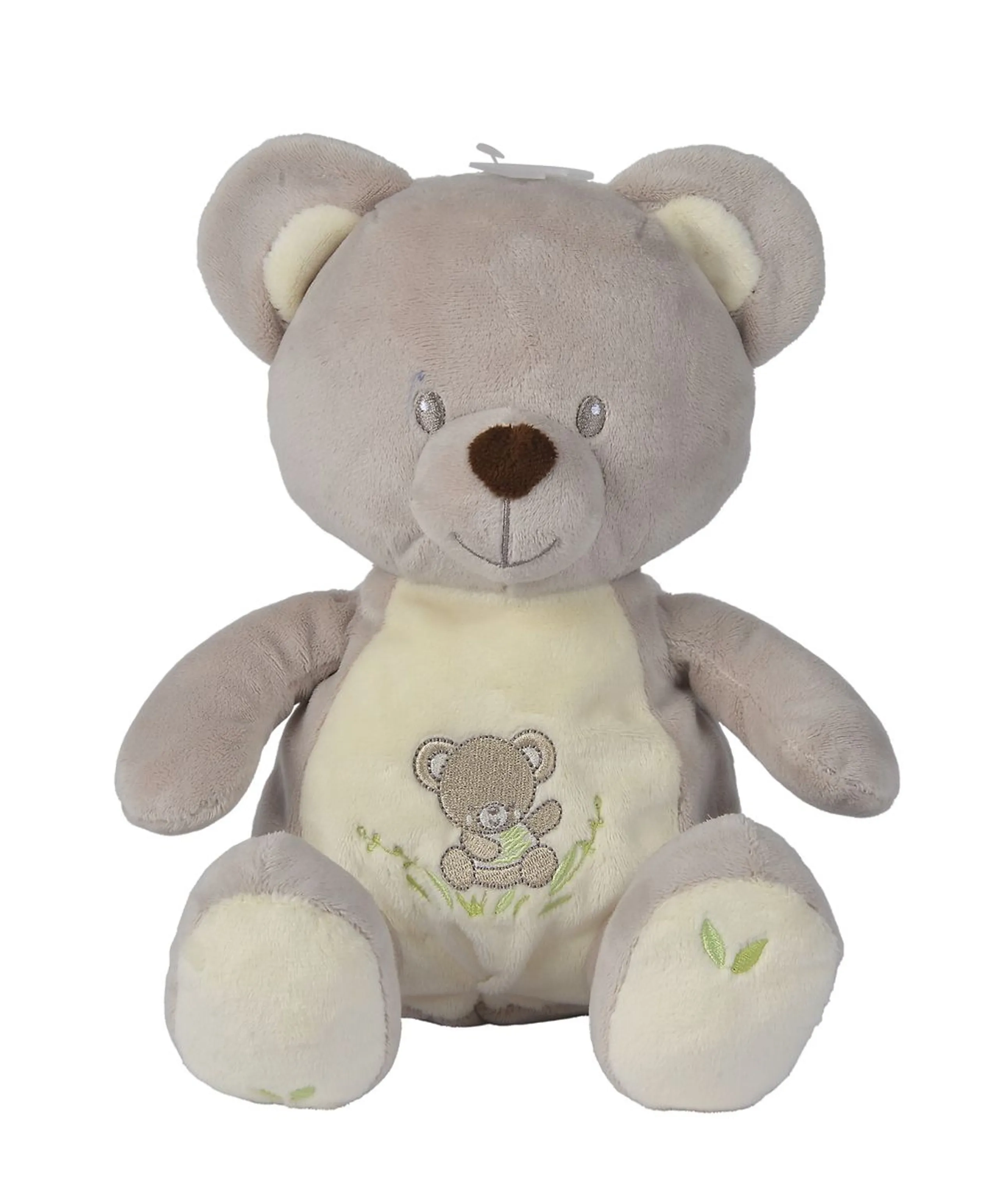Care Bears Flower Power Bear - 23 cm