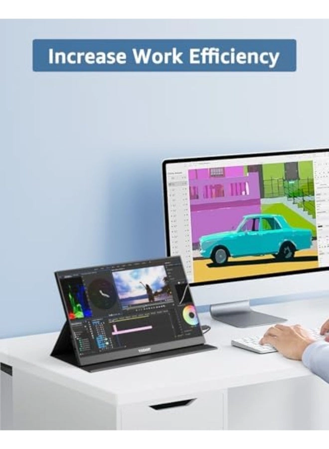 Portable Monitor - Full HD 17.3"